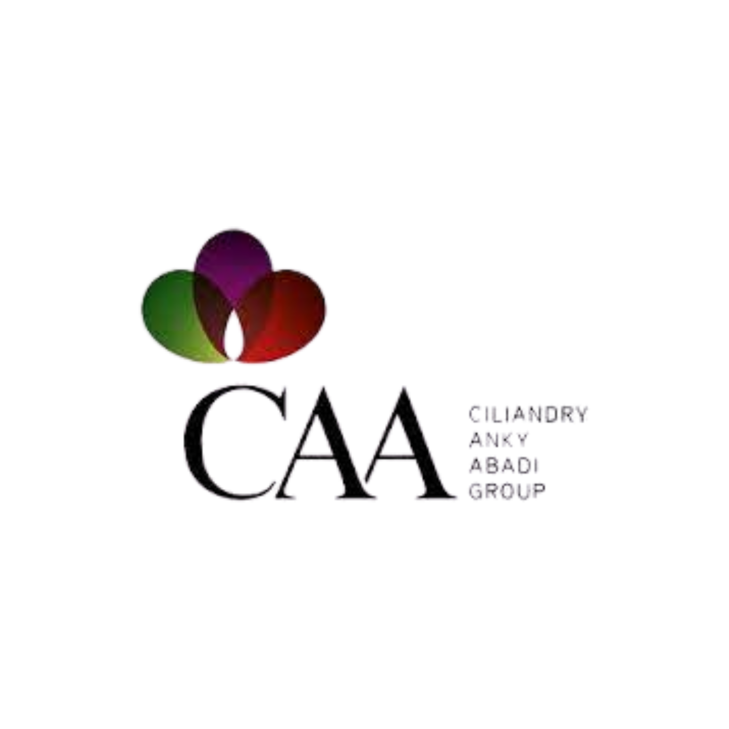 PT. Ciliandry Anky Abadi Group