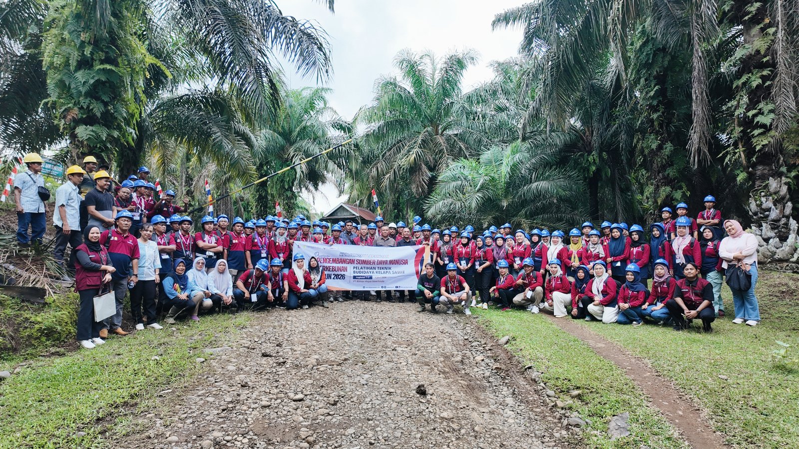 Didukung BPDP dan Ditjenbun, DGL Learning Institute Ajak 90 Pekebun Bengkulu Selatan Belajar Budidaya Sawit Langsung di PT Bimas Raya Sawitindo